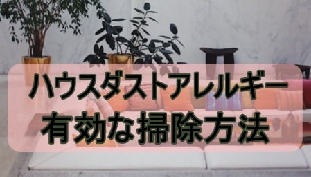 ハウスダストアレルギーに有効な掃除方法 対策 目からうろこ ぽかぽかブログ ハウスダストアレルギーに有効な掃除方法 対策 目からうろこ ぽかぽかブログ